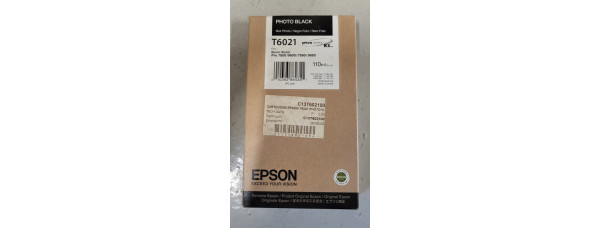 Tintenpatrone Epson T6021 Schwarz Neu OVP Original Stylus Pro 7800 MHD: 03.2011 