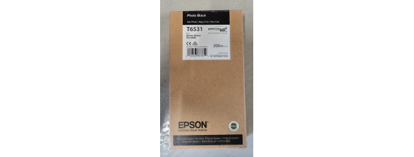 Tintenpatrone Epson T6531 Schwarz Neu OVP Original MHD: 11.2019 Stylus Pro 4900 