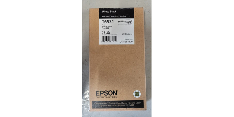 Tintenpatrone Epson T6531 Schwarz Neu OVP Original MHD: 11.2019 Stylus Pro 4900 